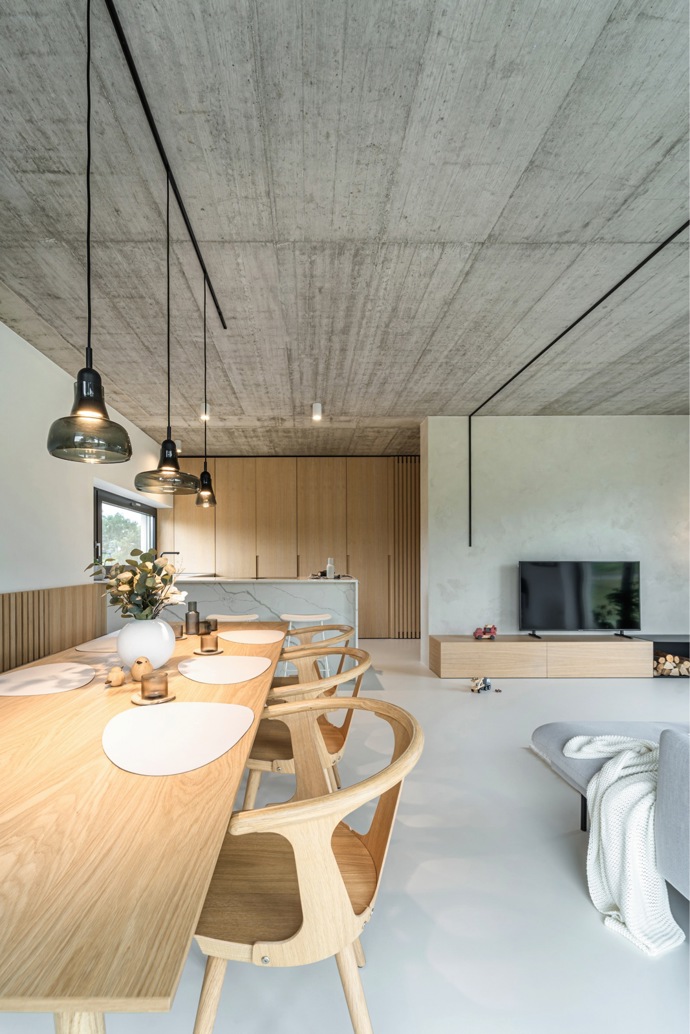 U několika rodinných domů nedaleko Brna se dokončovala hrubá stavba, když jedni z majitelů oslovili architektku Kateřinu Horych, aby jim projekt dotáhla a dům zařídila. Přišla těsně před tím, než se měly nahodit stropy.
