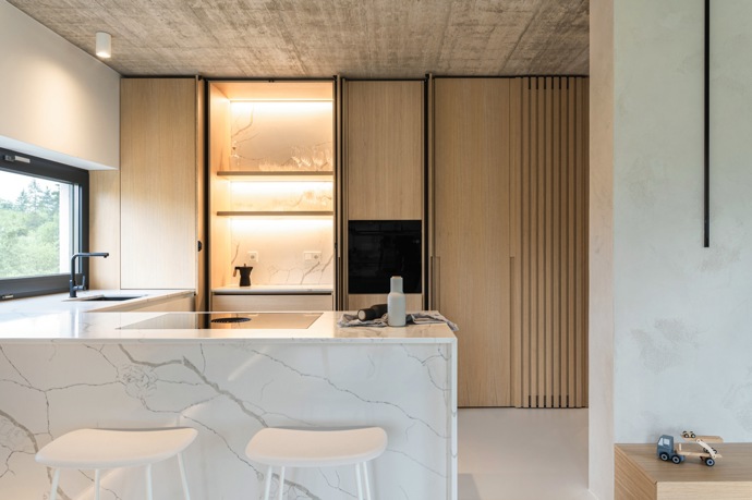 U několika rodinných domů nedaleko Brna se dokončovala hrubá stavba, když jedni z majitelů oslovili architektku Kateřinu Horych, aby jim projekt dotáhla a dům zařídila. Přišla těsně před tím, než se měly nahodit stropy.
