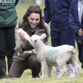 Kate Middleton, zábavné momenty
