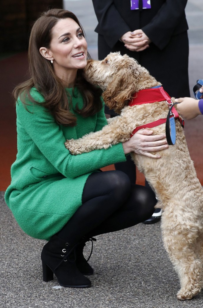 Kate Middleton, zábavné momenty
Kate Middleton, zábavné momenty