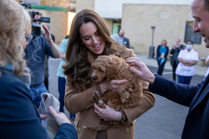 Kate Middleton, zábavné momenty
Kate Middleton, zábavné momenty