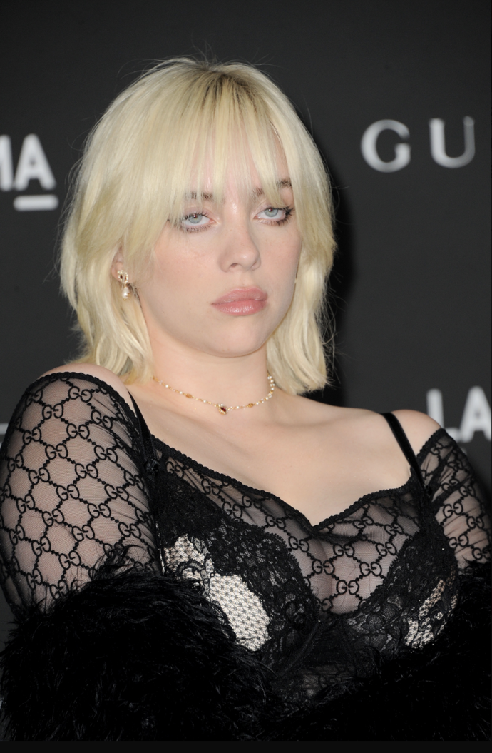 Také Billie Eilish nosí upravenou delší verzi účesu Shag Cut.
