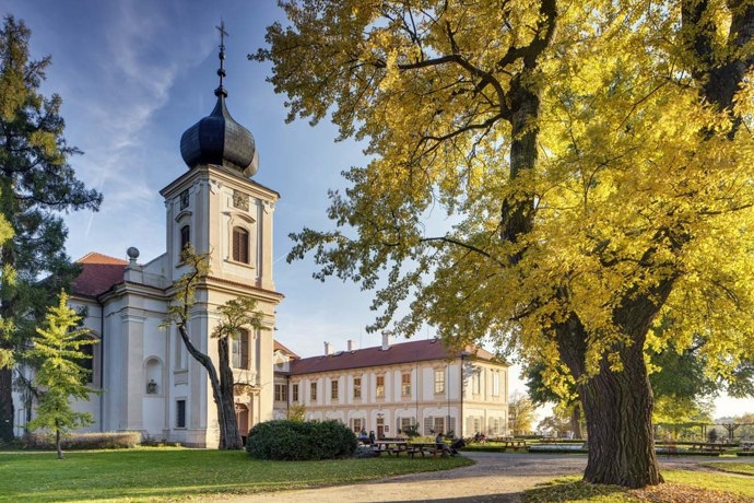 Součástí celkové rekonstrukce byla obnova zámku i vzácného anglického parku a rekonstrukce hotelu v jeho dolní části. Do zámku se postupně vrátila větší část původního mobiliáře, historický nábytek a rodinné upomínky na rod Thurn-Taxisů, kteří jej jako poslední šlechtický rod vlastnili. Později došlo ještě k opravě fasády zámeckého kostela Nanebevzetí Panny Marie díky sponzorským darům.
Součástí celkové rekonstrukce byla obnova zámku i vzácného anglického parku a rekonstrukce hotelu v jeho dolní části. Do zámku se postupně vrátila větší část původního mobiliáře, historický nábytek a rodinné upomínky na rod Thurn-Taxisů, kteří jej jako poslední šlechtický rod vlastnili. Později došlo ještě k opravě fasády zámeckého kostela Nanebevzetí Panny Marie díky sponzorským darům.