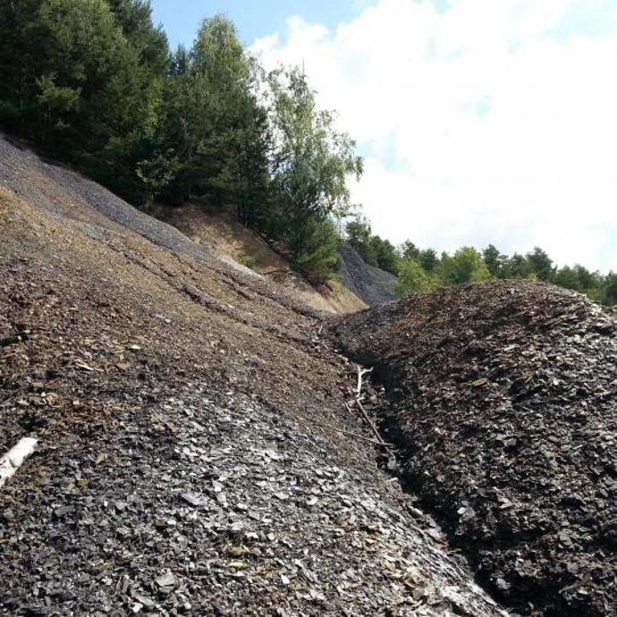 Břidlicové haldy kolem Hromnického jezírka
Břidlicové haldy kolem Hromnického jezírka
