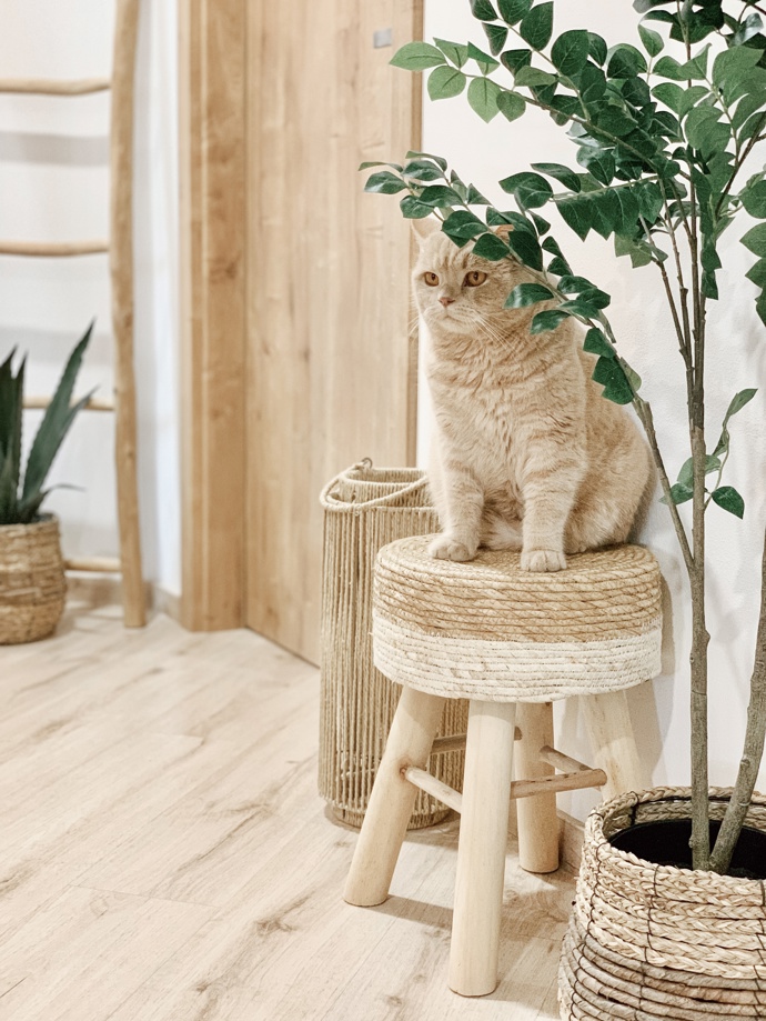Dům se nese v duchu skandinávské estetiky doplněný boho stylem a především vkusem majitelky. Výrazným prvkem je dřevo v mnoha různých dekorech v kombinaci s bílou, béžovou a světlými tóny. K tomu pár kousků v černé barvě, které interiér krásně zvýrazní. Dekorace jsou kombinací dřeva, skla a kovu. Z materiálů převládají ty přírodní, například bavlna nebo len. 

 
