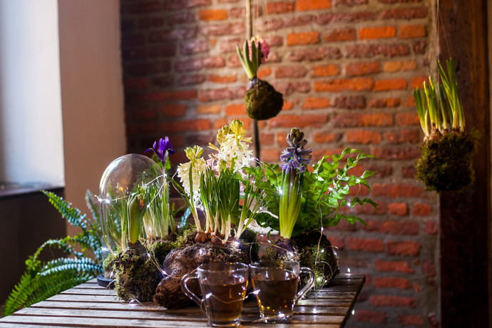 Ať už hyacinty necháte kvést v květináči, ponoříte do skleněné nádoby s vodou nebo jim dopřejete nevšední kabátek z vosku či mechu, vždy dodají vašemu domovu svěží atmosféru. 
