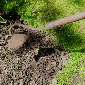 Prokypření záhonů je velmi důležité pro to, aby rostliny v zemině dobře prospívaly. 
