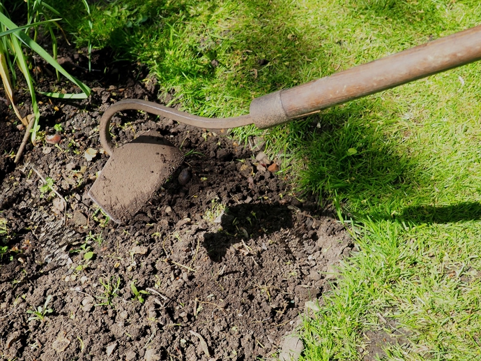 Prokypření záhonů je velmi důležité pro to, aby rostliny v zemině dobře prospívaly.
Prokypření záhonů je velmi důležité pro to, aby rostliny v zemině dobře prospívaly.