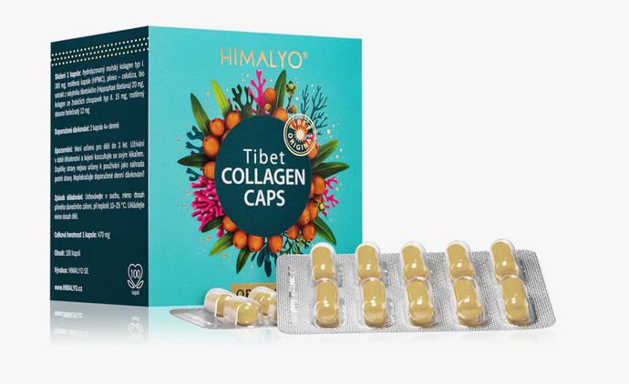 Doplněk stravy Tibet Collagen Caps v podobě přírodních kapslí vám pomůže jej doplnit a uchovat si tak mladistvou krásu. Obsahují 2 nejdůležitější typy kolagenu – typ I a II. 449 Kč
