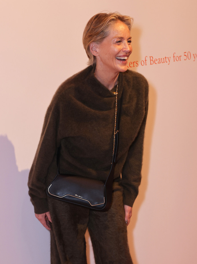 Sharon Stone také účes zkracuje. I ona je ale v jakémkoli účesu krásná.
