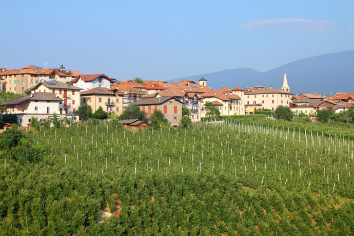 Val di Non je další z lokalit v Trentinu, kde se můžete trvale usadit s finanční podporou provincie.
Val di Non je další z lokalit v Trentinu, kde se můžete trvale usadit s finanční podporou provincie.
