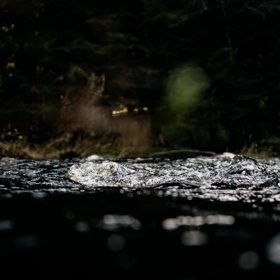 V bílých kamnech praská dřevo, venku šumí les – a vám stačí jen sedět a dívat se. V Chaatě televizi nehledejte, tady se sleduje oheň.
