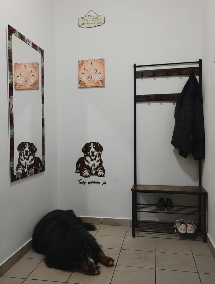 Simona proměnila byt po rodičích v interiér, který odráží její osobnost, hodnoty i každodenní radosti. 
