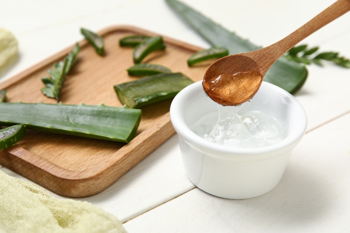 Výtažky z rostliny Aloe Vera mají protizánětlivé účinky. Pořiďte si domů rostlinu, která vám bude dělat radost i pomáhat. 

