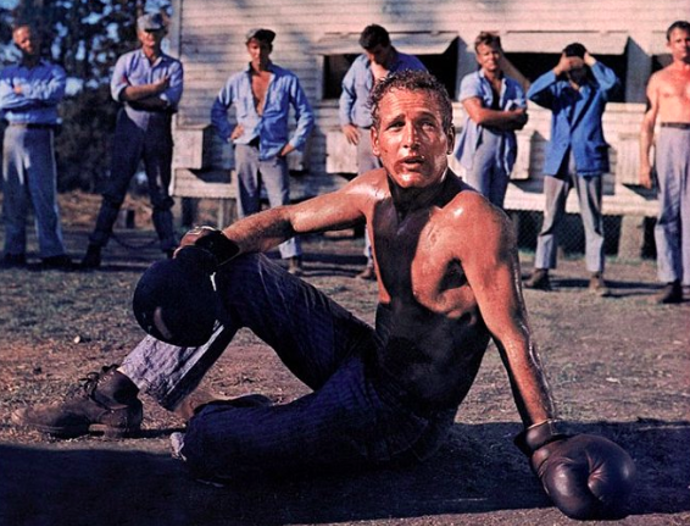 Paul Newman
