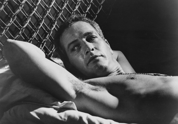 Paul Newman
