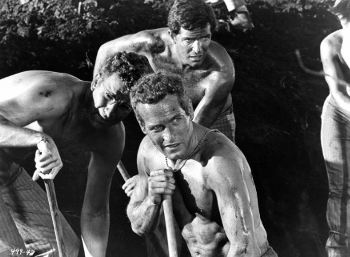 Paul Newman

