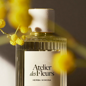 Chloé Atelier des Fleur Herba Mimosa s vůní mimózy, petitgrainu, kardamonového oleje, jasmínu a cypřiše, 50 ml 3480 Kč
