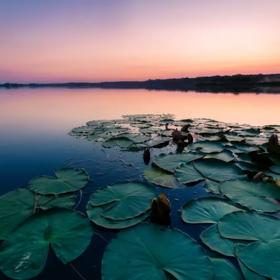 Albatros, Ostrožská Nová Ves
Ideální volba pro rodiny s dětmi – koupání, skluzavky i pirátská loď na břehu. Jezero má výborně řešené pláže, pozvolný vstup do vody a v létě tu bývá i stánek se zmrzlinou. Pokud plánujete výlet do Slovácka, tohle místo si napište tučně.
