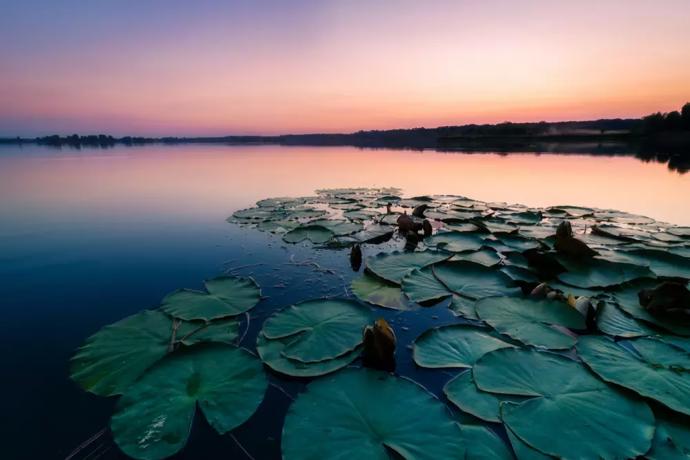 Albatros, Ostrožská Nová Ves
Ideální volba pro rodiny s dětmi – koupání, skluzavky i pirátská loď na břehu. Jezero má výborně řešené pláže, pozvolný vstup do vody a v létě tu bývá i stánek se zmrzlinou. Pokud plánujete výlet do Slovácka, tohle místo si napište tučně.
Albatros, Ostrožská Nová Ves
Ideální volba pro rodiny s dětmi – koupání, skluzavky i pirátská loď na břehu. Jezero má výborně řešené pláže, pozvolný vstup do vody a v létě tu bývá i stánek se zmrzlinou. Pokud plánujete výlet do Slovácka, tohle místo si napište tučně.