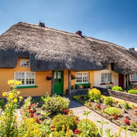 Irsko je zemí, která si vás získá dřív, než stačíte říct sláinte. Zelené pláně, kamenné zídky, pastviny s ovcemi a nekonečný Atlantik. Přidejte tradiční irskou hudbu, pivo Guinness a legendy o keltských nadpřirozených bytostech a dostanete místo, kde by nejeden člověk chtěl žít.
