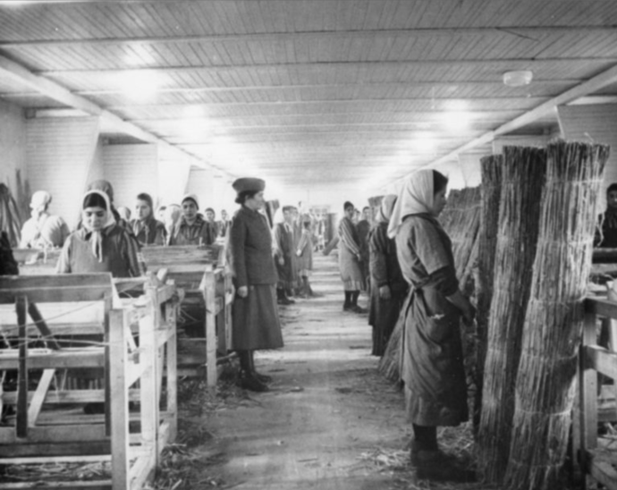 Romské ženy nucené k práci stojí v pozoru během kontroly v tkalcovně v koncentračním táboře Ravensbrück v Německu, kolem roku 1943, i ony byly nuceny být "po vůli".
Romské ženy nucené k práci stojí v pozoru během kontroly v tkalcovně v koncentračním táboře Ravensbrück v Německu, kolem roku 1943, i ony byly nuceny být "po vůli".