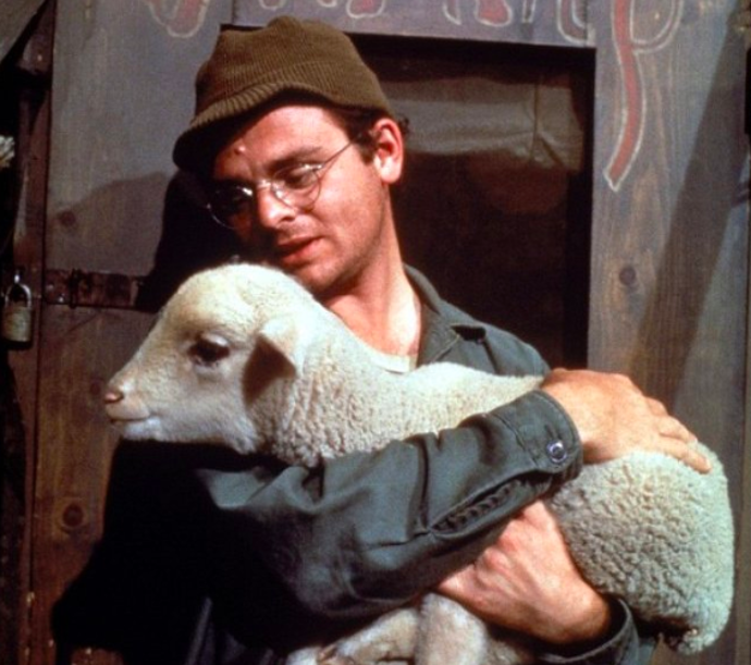 Gary Burghoff v roli Radara v americkém seriálu MASH
