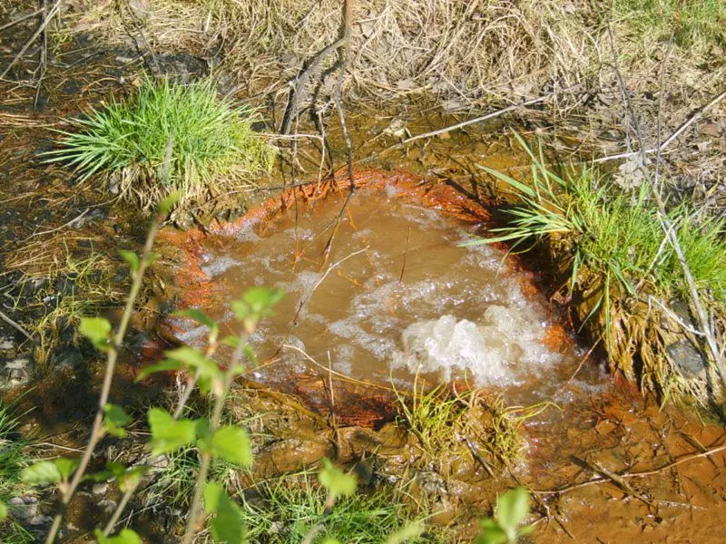 Yellowstone máme i v České republice: Vydejte se do rezervace, kde syčí voda a půda se třpytí solí