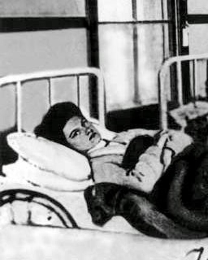 Tyfová Mary

