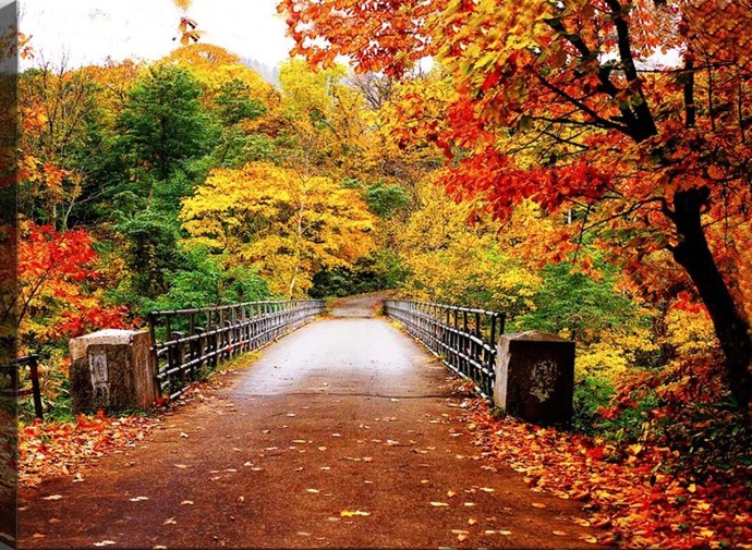 Obraz Autumn Bridge, Vavien Artwork, 1 569 Kč
Obraz Autumn Bridge, Vavien Artwork, 1 569 Kč