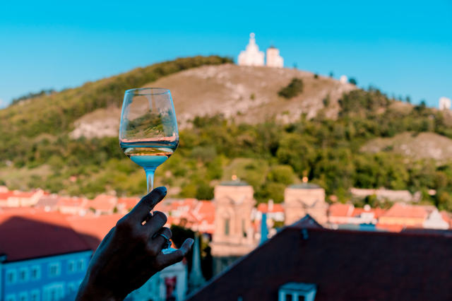 Vinobraní je tady: Poznejte kořeny tohoto svátku hroznů, burčáku a starých tradic