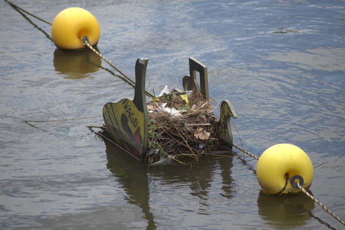 Tento ambiciózní koncept staví na spolupráci s přírodou, využívá dřevožravé larvy, které utvářejí objekty, jež pak lze dále tvarovat a recyklovat.
