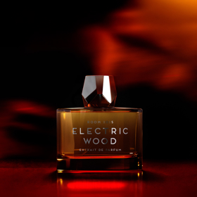 Parfém Electric Wood Extrait, Room1015 (prodává Myskino), 5000 Kč
