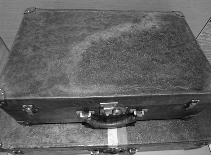 Kufr značky Louise Vuitton z roku 1916.
Kufr značky Louise Vuitton z roku 1916.