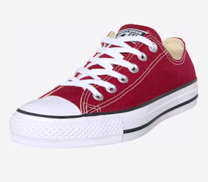 CONVERSE Tenisky 1549 Kč
CONVERSE Tenisky 1549 Kč