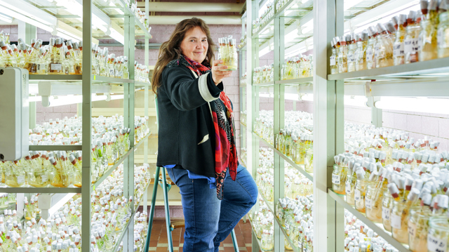 Marianne Venkov & styl č. 11 i čas svatomartinských vín a slavnostních výlovů je tady!