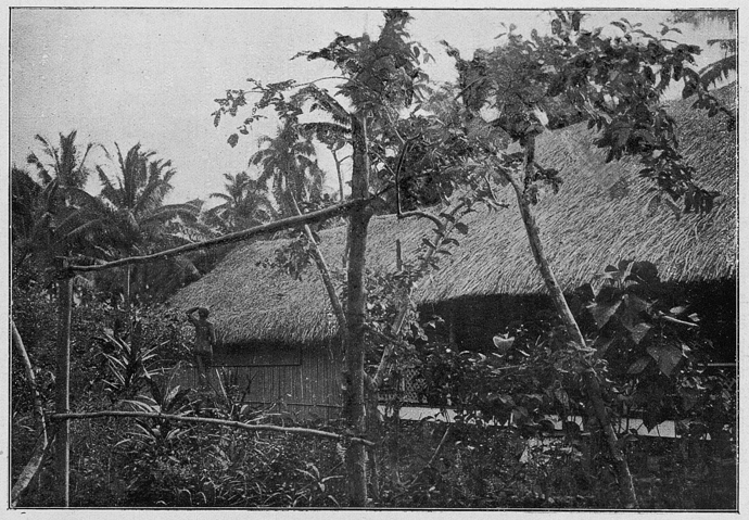 Fotografie domu Paula Gauguina v Puna'auia z roku 1896. Ozdobou lokality byla socha nahé ženy, která je na snímku také k vidění. 
