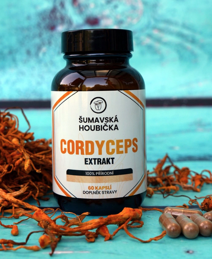 Housenice čínská (Cordyceps sinensis) je vzácná léčivá houba, kterou tradiční čínská a tibetská medicína využívá už po staletí. Proslavila se svými rozmanitými účinky na vitalitu a celkové zdraví. V dnešní době si našla své místo i v oblasti moderních doplňků stravy – a to především díky svému unikátnímu složení a schopnosti podpořit organismus v různých směrech. 599 Kč
