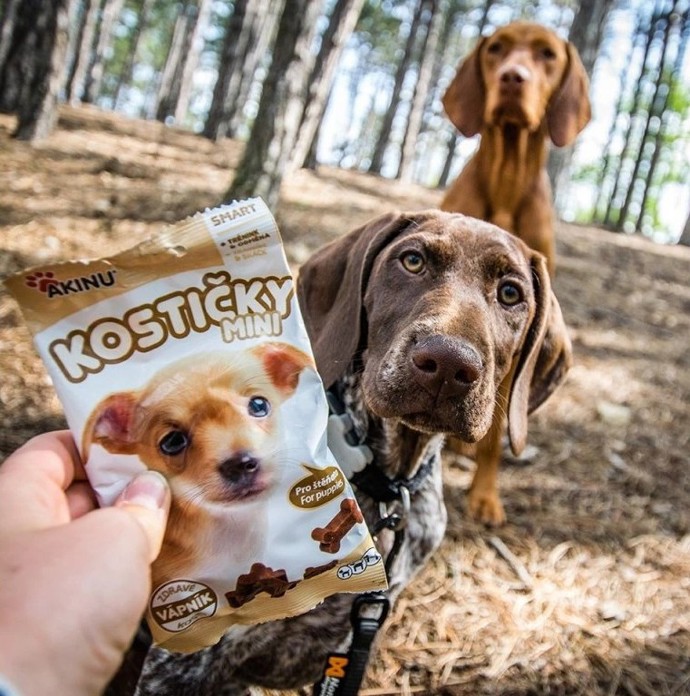 Akinu Vápníkové MINI kostičky pamlsek pro štěňata 60 g, 30,90 Kč
