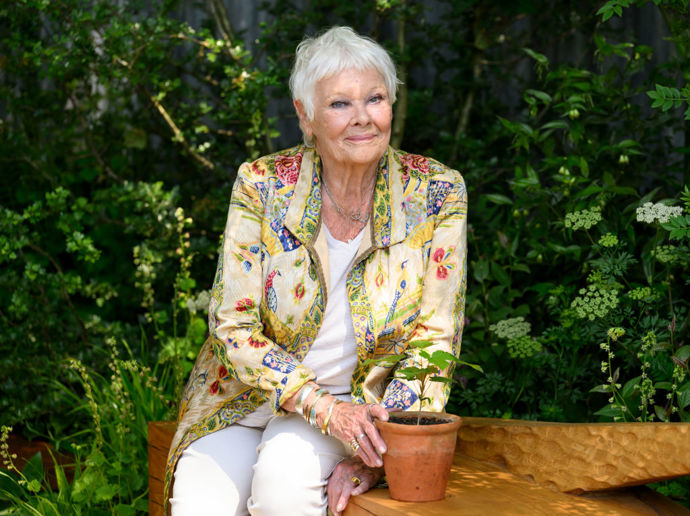 V loňském roce na akci The RHS Chelsea Flower Show, která se konala v nemocnici Royal Hospital Chelsea.
