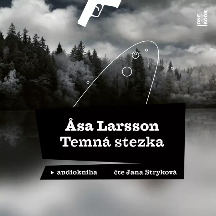 Asa Larsson - Temná stezka