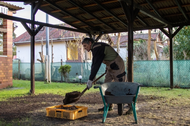 Vápnění trávníku proti mechu. Pečujte o svoji zahradu a sousedi budou koukat