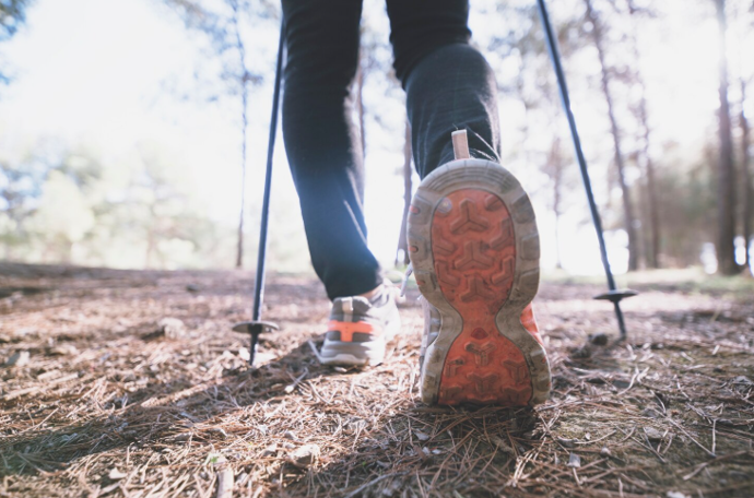 Nordic walking zvyšuje energetický výdej až o 20–40 % oproti běžné chůzi.
Nordic walking zvyšuje energetický výdej až o 20–40 % oproti běžné chůzi.