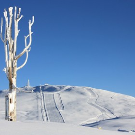 Poklidný rodinný skiareál, který je součástí sítě Ortler ski arena, stoupá z Pemmern (1538 m) až k Schwarzseespitze a Rittner Hornu/Corno del Renon (2260 metrů).
