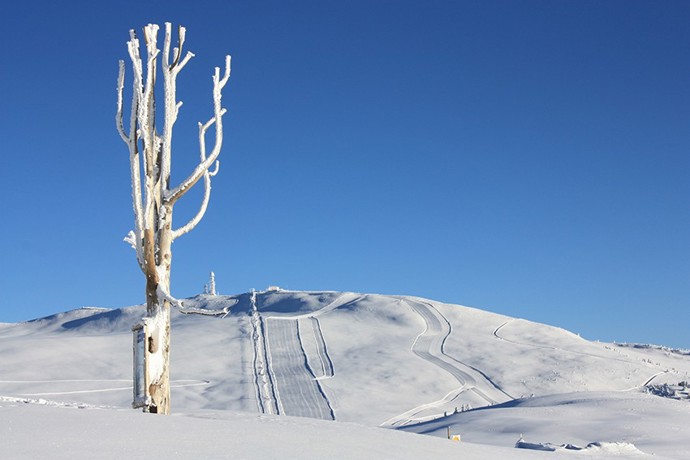 Poklidný rodinný skiareál, který je součástí sítě Ortler ski arena, stoupá z Pemmern (1538 m) až k Schwarzseespitze a Rittner Hornu/Corno del Renon (2260 metrů).
Poklidný rodinný skiareál, který je součástí sítě Ortler ski arena, stoupá z Pemmern (1538 m) až k Schwarzseespitze a Rittner Hornu/Corno del Renon (2260 metrů).