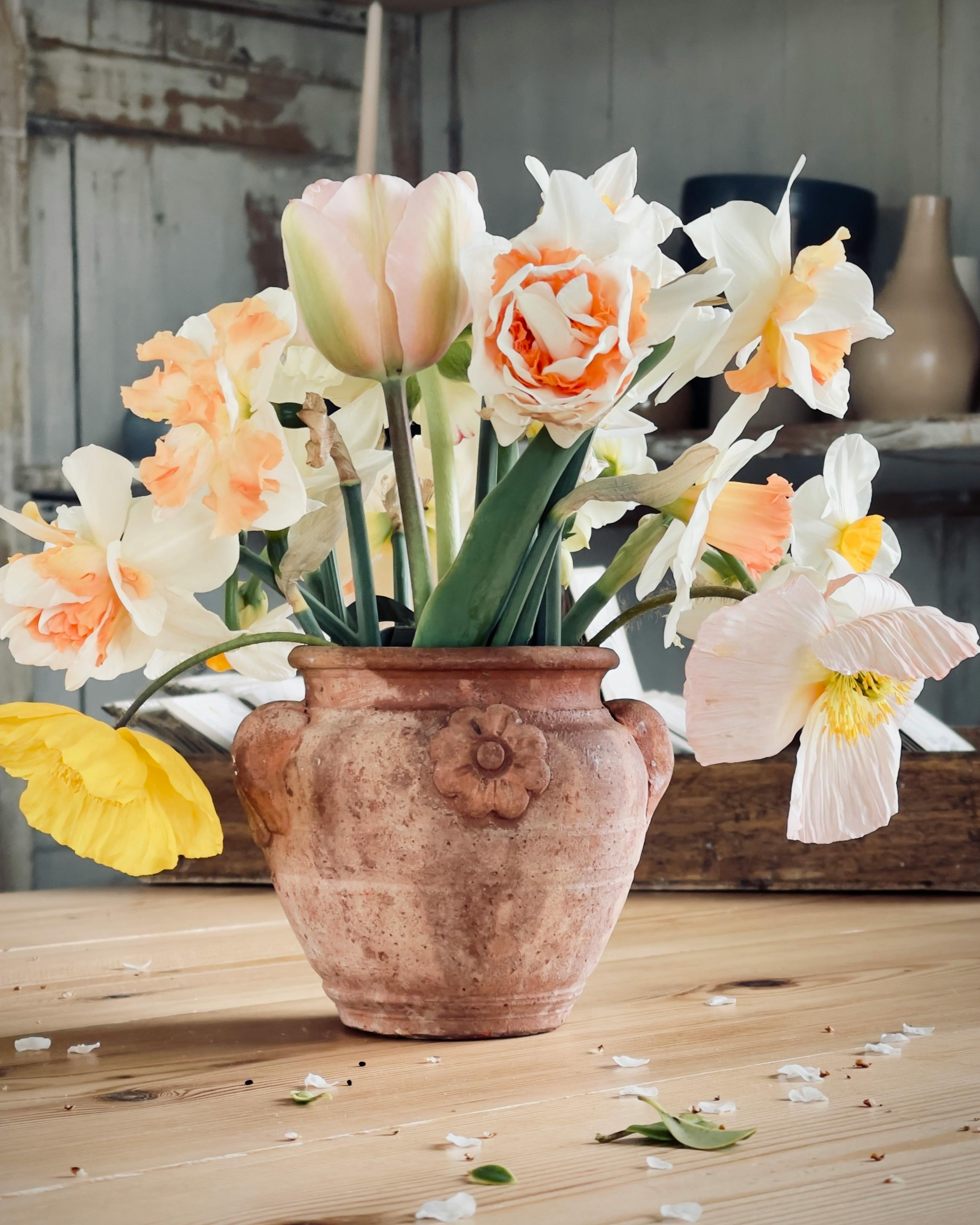 Nejoblíbenější jarní cibuloviny v váze. Jak prodloužit život tulipánům a narcisům?