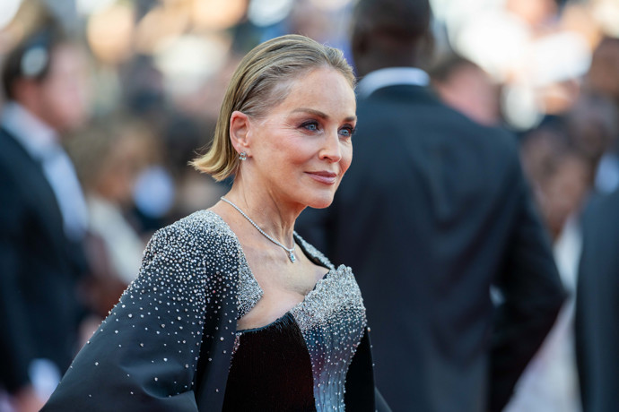 Nechyběla ani herečka Sharon Stone s mikádem zčesaným dozadu
