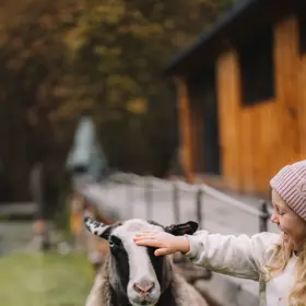 Glamping s ovečkami majitelé nazvali farmping.

