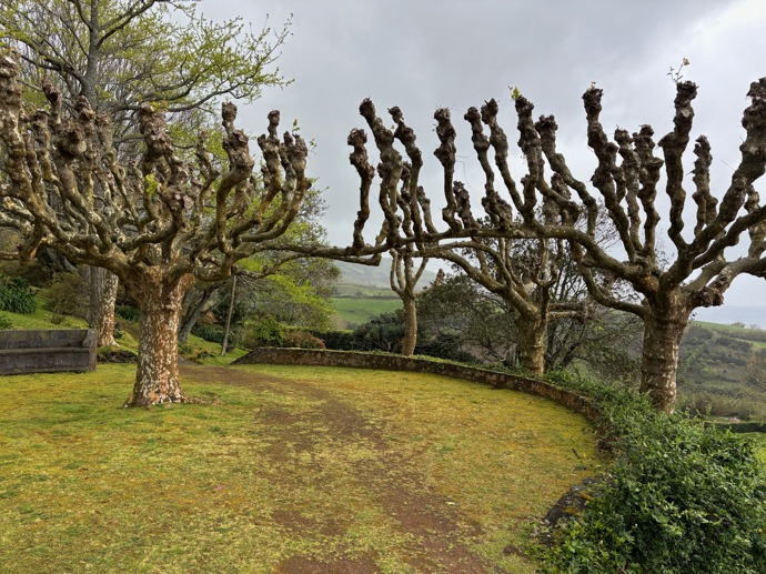 U čajových plantáží
U čajových plantáží