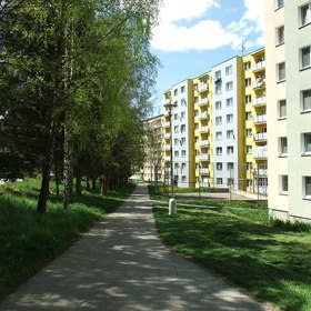 Šedé paneláky možná nepůsobily krásně, ale pro miliony lidí znamenaly výrazné zlepšení životních podmínek. Mnozí si své malé byty zvelebovali svépomocí, aby unikli uniformitě socialistického stylu.
